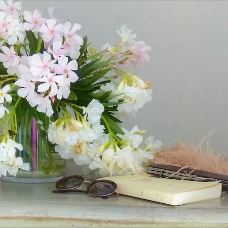 卡萨民宿 维罗纳